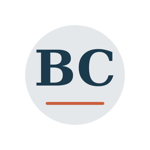 Bobby Chimney Repair logo